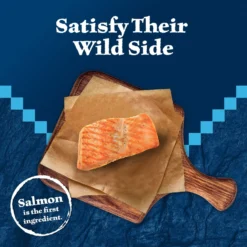 Blue Buffalo Wilderness Salmon Formula Crunchy Grain-Free Cat Treats 9 Blue Buffalo Wilderness Salmon Formula Crunchy Grain-Free Cat Treats -Blue Buffalo 114181 PT2. AC SS1800 V1691703374