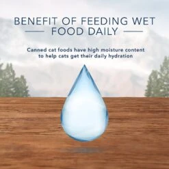 Blue Buffalo Wilderness Pate Kitten Variety Pack With Chicken & Salmon Grain-Free Cat Food -Blue Buffalo 114188 PT6. AC SS1800 V1601027166