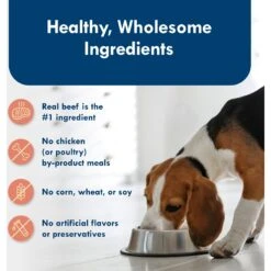 Blue Buffalo Divine Delights Filet Mignon Flavor Pate Dog Food Trays 14 Blue Buffalo Divine Delights Filet Mignon Flavor Pate Dog Food Trays -Blue Buffalo 114264 PT5. AC SS1800 V1642647141