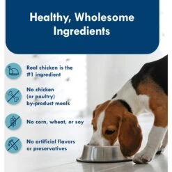 Blue Buffalo Divine Delights Grilled Chicken Flavor Pate Dog Food Trays -Blue Buffalo 114266 PT5. AC SS1800 V1642639027