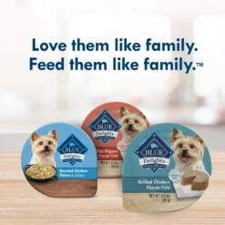 Blue Buffalo Divine Delights Grilled Chicken Flavor Pate Dog Food Trays -Blue Buffalo 114266 PT8. AC SS1800 V1642635717