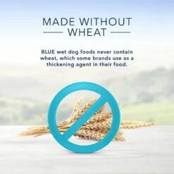 Blue Buffalo Divine Delights Pate Small Breed Variety Pack Filet Mignon & Porterhouse Flavor Dog Food Trays, 3.5-oz Tray, Case Of 12 -Blue Buffalo 114269 PT4. AC SS1800 V1568667166