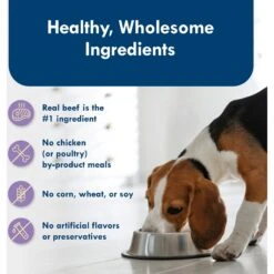 Blue Buffalo Divine Delights Porterhouse Flavor Pate Dog Food Trays 14 Blue Buffalo Divine Delights Porterhouse Flavor Pate Dog Food Trays -Blue Buffalo 114273 PT5. AC SS1800 V1642635996