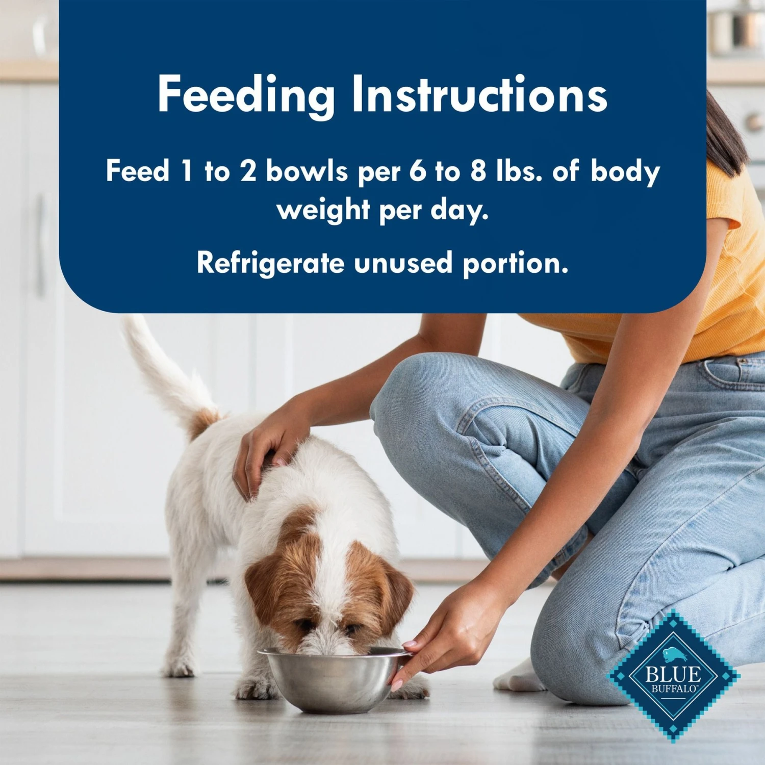 Blue Buffalo Divine Delights Porterhouse Flavor Pate Dog Food Trays 8 Blue Buffalo Divine Delights Porterhouse Flavor Pate Dog Food Trays - Image 8