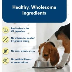 Blue Buffalo Divine Delights Roasted Turkey Flavor Pate Dog Food Trays 14 Blue Buffalo Divine Delights Roasted Turkey Flavor Pate Dog Food Trays -Blue Buffalo 114275 PT5. AC SS1800 V1642632436