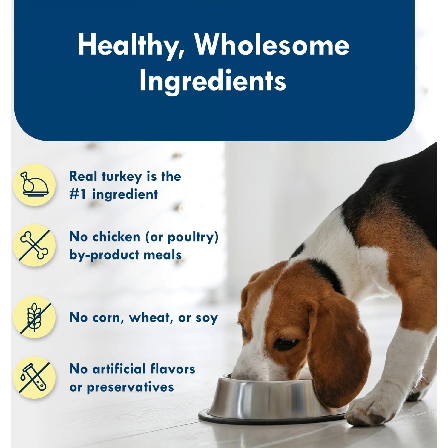 Blue Buffalo Divine Delights Roasted Turkey Flavor Pate Dog Food Trays 6 Blue Buffalo Divine Delights Roasted Turkey Flavor Pate Dog Food Trays - Image 6