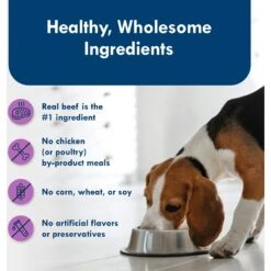 Blue Buffalo Divine Delights Top Sirloin Flavor Pate Dog Food Trays -Blue Buffalo 114282 PT5. AC SS1800 V1642635410