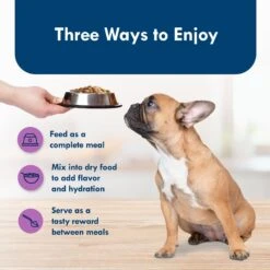 Blue Buffalo Divine Delights Top Sirloin Flavor Pate Dog Food Trays -Blue Buffalo 114282 PT6. AC SS1800 V1642652518