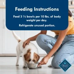 Blue Buffalo Divine Delights Filet Mignon Flavor Hearty Gravy Dog Food Trays -Blue Buffalo 114284 PT7. AC SS1800 V1642634527