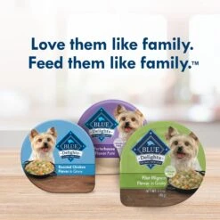 Blue Buffalo Divine Delights Filet Mignon Flavor Hearty Gravy Dog Food Trays -Blue Buffalo 114284 PT8. AC SS1800 V1642647385