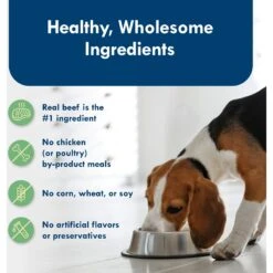 Blue Buffalo Divine Delights New York Strip Flavor Hearty Gravy Dog Food Trays -Blue Buffalo 114289 PT5. AC SS1800 V1642640811