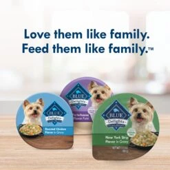 Blue Buffalo Divine Delights New York Strip Flavor Hearty Gravy Dog Food Trays -Blue Buffalo 114289 PT8. AC SS1800 V1642643195