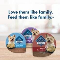 Blue Buffalo Divine Delights Prime Rib Flavor Hearty Gravy Dog Food Trays 17 Blue Buffalo Divine Delights Prime Rib Flavor Hearty Gravy Dog Food Trays -Blue Buffalo 114291 PT8. AC SS1800 V1642633936