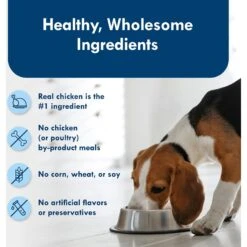 Blue Buffalo Divine Delights Roasted Chicken Flavor Hearty Gravy Dog Food Trays -Blue Buffalo 114293 PT5. AC SS1800 V1642635144