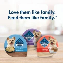 Blue Buffalo Divine Delights Roasted Chicken Flavor Hearty Gravy Dog Food Trays -Blue Buffalo 114293 PT8. AC SS1800 V1642641147