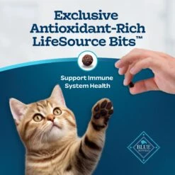 Blue Buffalo Tastefuls Natural Chicken Dry Kitten Food -Blue Buffalo 144079 PT6. AC SS1800 V1692646331