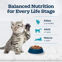 Blue Buffalo Tastefuls Natural Chicken Dry Kitten Food -Blue Buffalo 144079 PT7. AC SS1800 V1692642810