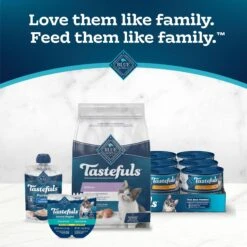 Blue Buffalo Tastefuls Natural Chicken Dry Kitten Food -Blue Buffalo 144079 PT8. AC SS1800 V1692644245