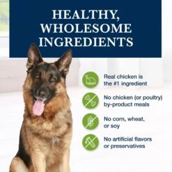 Blue Buffalo Natural Veterinary Diet GI Gastrointestinal Support Dry Dog Food -Blue Buffalo 147668 PT5. AC SS1800 V1695495189