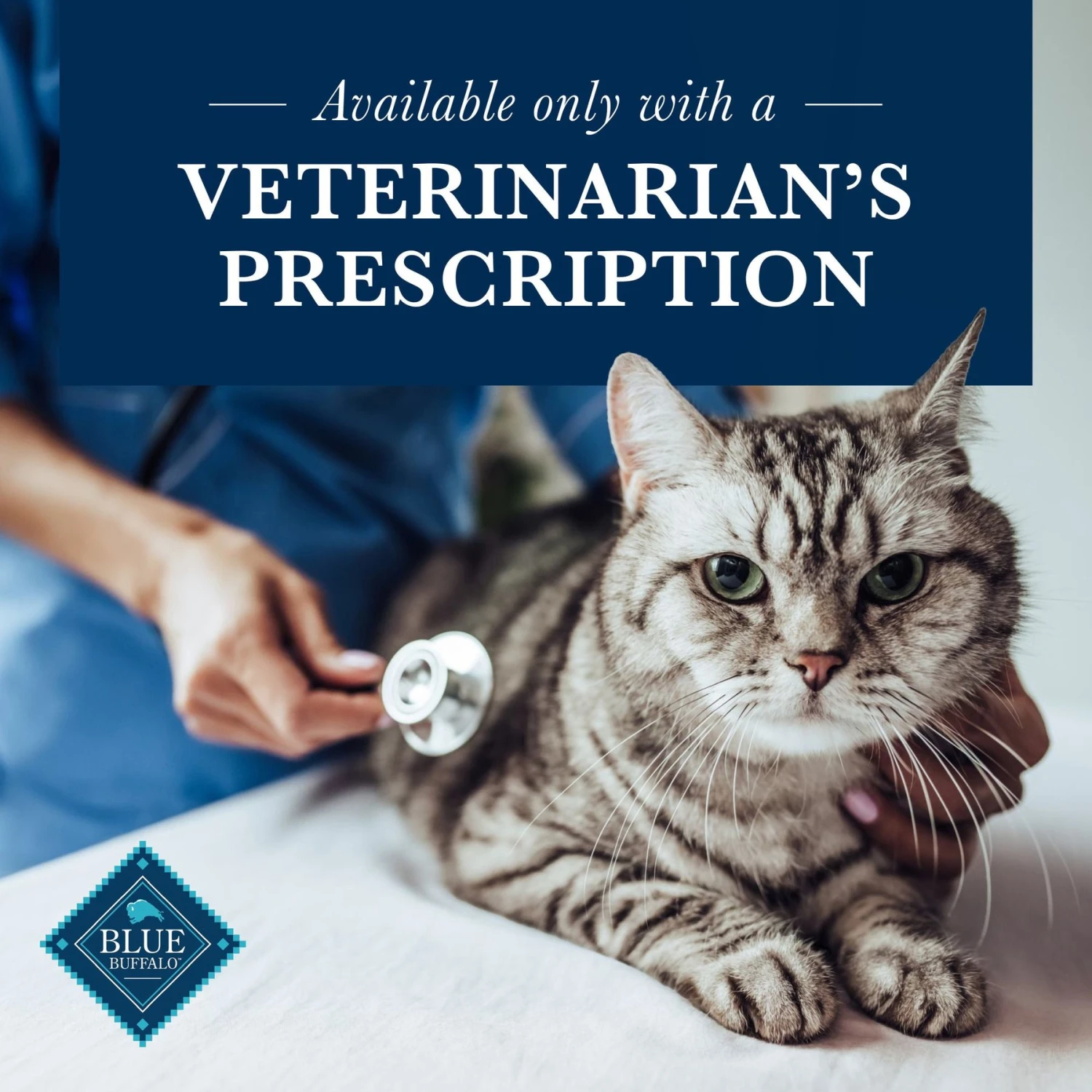 Blue Buffalo Natural Veterinary Diet K+M Kidney + Mobility Support Grain-Free Dry Cat Food 7 Blue Buffalo Natural Veterinary Diet K+M Kidney + Mobility Support Grain-Free Dry Cat Food - Image 7