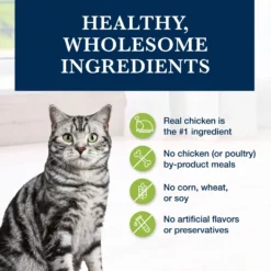 Blue Buffalo Natural Veterinary Diet GI Gastrointestinal Support Grain-Free Dry Cat Food -Blue Buffalo 147678 PT5. AC SS1800 V1703091328