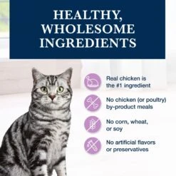 Blue Buffalo Natural Veterinary Diet W+U Weight Management + Urinary Care Grain-Free Dry Cat Food -Blue Buffalo 147682 PT5. AC SS1800 V1703091386