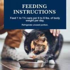 Blue Buffalo Natural Veterinary Diet K+M Kidney + Mobility Support Grain-Free Wet Cat Food -Blue Buffalo 147684 PT8. AC SS1800 V1590599838