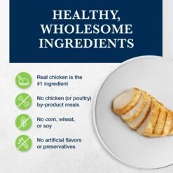 Blue Buffalo Natural Veterinary Diet GI Gastrointestinal Support Grain-Free Wet Cat Food 10 Blue Buffalo Natural Veterinary Diet GI Gastrointestinal Support Grain-Free Wet Cat Food -Blue Buffalo 147686 PT2. AC SS1800 V1695132220