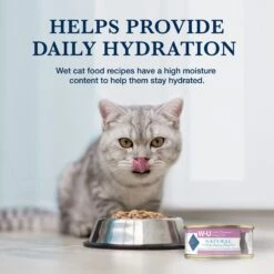 Blue Buffalo Natural Veterinary Diet W+U Weight Management + Urinary Care Grain-Free Wet Cat Food 14 Blue Buffalo Natural Veterinary Diet W+U Weight Management + Urinary Care Grain-Free Wet Cat Food -Blue Buffalo 147688 PT6. AC SS1800 V1695083932
