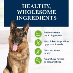 Blue Buffalo Natural Veterinary Diet GI Gastrointestinal Support Grain-Free Wet Dog Food -Blue Buffalo 147692 PT5. AC SS1800 V1695083988