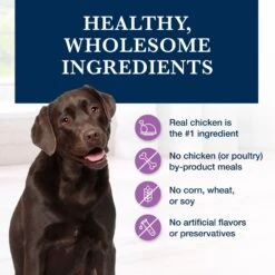 Blue Buffalo Natural Veterinary Diet W+U Weight Management + Urinary Care Chicken Wet Dog Food -Blue Buffalo 147694 PT5. AC SS1800 V1695132225