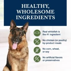 Blue Buffalo Natural Veterinary Diet GI Gastrointestinal Support Low Fat Grain-Free Wet Dog Food -Blue Buffalo 203607 PT5. AC SS1800 V1695083009