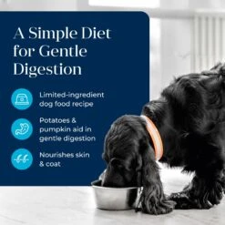 Blue Buffalo Basics Skin & Stomach Care Grain-Free Whitefish Entrée Adult Canned Dog Food, 12.5-oz Can, Case Of 12 11 Blue Buffalo Basics Skin & Stomach Care Grain-Free Whitefish Entrée Adult Canned Dog Food, 12.5-oz Can, Case Of 12 -Blue Buffalo 212237 PT2. AC SS1800 V1646275643