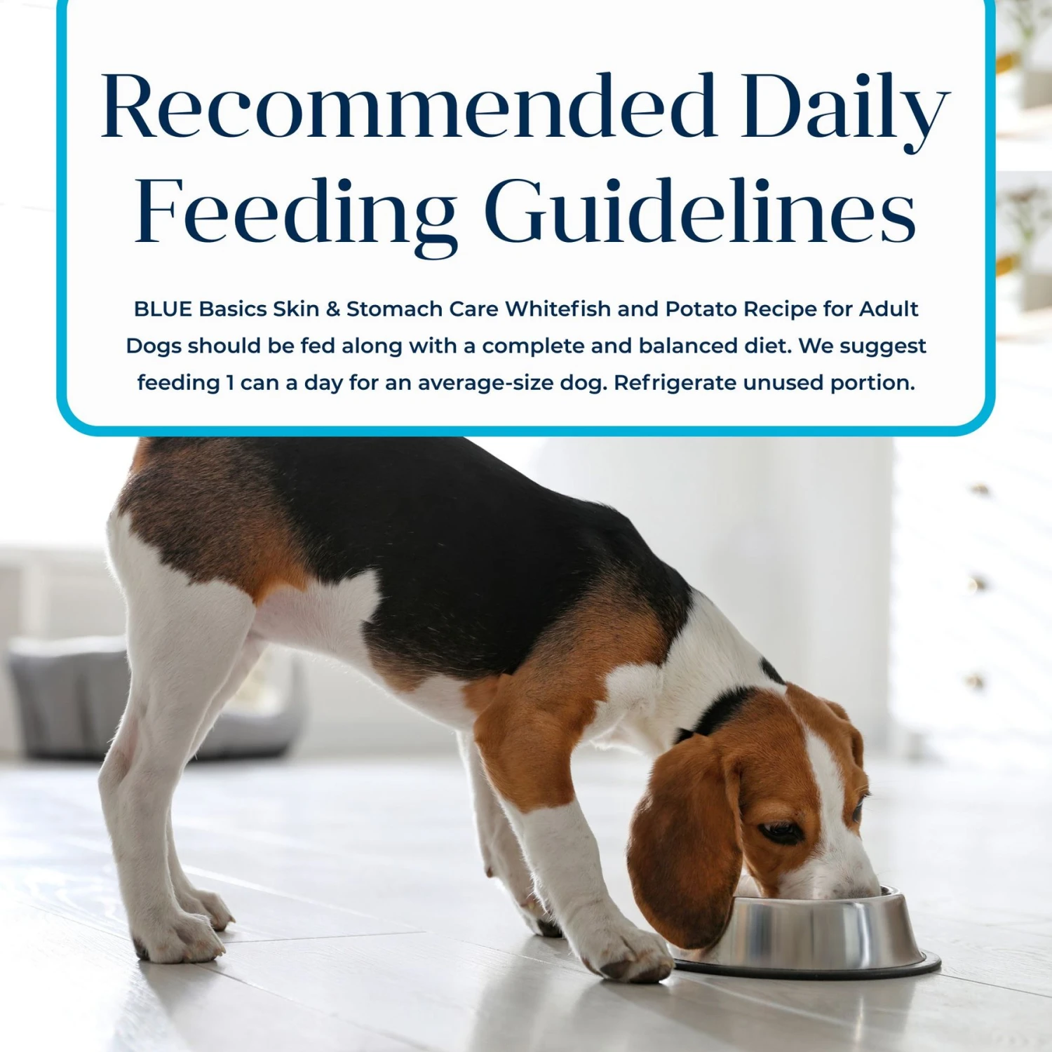 Blue Buffalo Basics Skin & Stomach Care Grain-Free Whitefish Entrée Adult Canned Dog Food, 12.5-oz Can, Case Of 12 9 Blue Buffalo Basics Skin & Stomach Care Grain-Free Whitefish Entrée Adult Canned Dog Food, 12.5-oz Can, Case Of 12 - Image 9