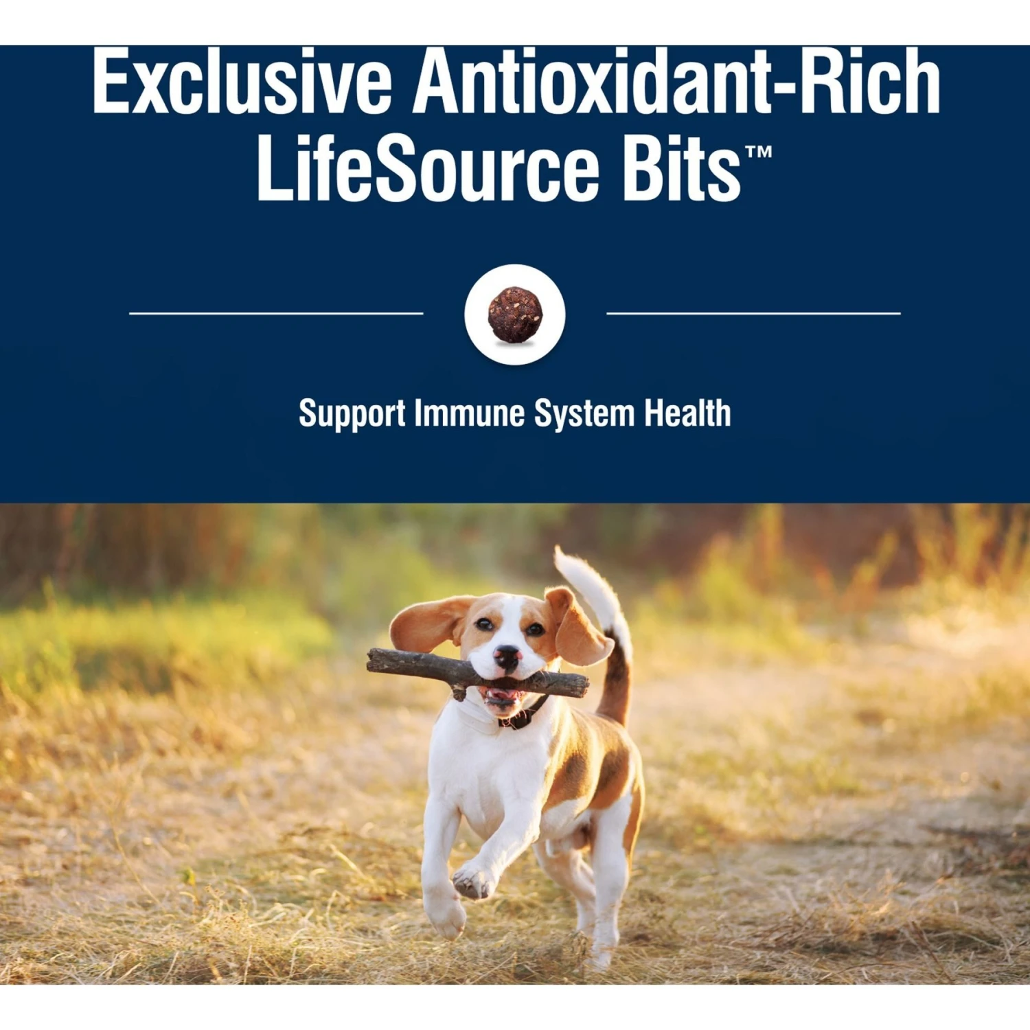 Blue Buffalo True Solutions Healthy Weight Natural Weight Control Chicken Adult Dry Dog Food 7 Blue Buffalo True Solutions Healthy Weight Natural Weight Control Chicken Adult Dry Dog Food - Image 7