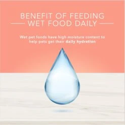 Blue Buffalo True Solutions Healthy Weight Natural Weight Control Chicken Adult Wet Dog Food -Blue Buffalo 218278 PT6. AC SS1800 V1676653189
