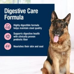 Blue Buffalo True Solutions Blissful Belly Digestive Care Formula Dry Dog Food -Blue Buffalo 218287 PT2. AC SS1800 V1696449694