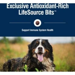 Blue Buffalo True Solutions Blissful Belly Digestive Care Formula Dry Dog Food -Blue Buffalo 218287 PT6. AC SS1800 V1696449661