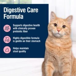 Blue Buffalo True Solutions Blissful Belly Digestive Care Formula Dry Cat Food -Blue Buffalo 218292 PT3. AC SS1800 V1696449692