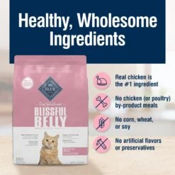 Blue Buffalo True Solutions Blissful Belly Digestive Care Formula Dry Cat Food -Blue Buffalo 218292 PT5. AC SS1800 V1696451637