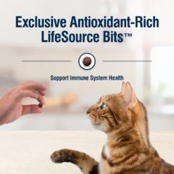 Blue Buffalo True Solutions Blissful Belly Digestive Care Formula Dry Cat Food -Blue Buffalo 218292 PT6. AC SS1800 V1696450045