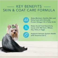 Blue Buffalo True Solutions Perfect Skin & Coat Natural Salmon Adult Dry Dog Food -Blue Buffalo 218298 PT2. AC SS1800 V1696449987