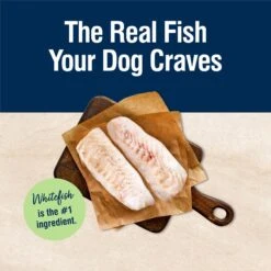 Blue Buffalo True Solutions Perfect Skin & Coat Natural Whitefish Adult Wet Dog Food 11 Blue Buffalo True Solutions Perfect Skin & Coat Natural Whitefish Adult Wet Dog Food -Blue Buffalo 218300 PT3. AC SS1800 V1676653911