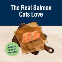 Blue Buffalo True Solutions Perfect Skin & Coat Natural Salmon Adult Dry Cat Food -Blue Buffalo 218303 PT2. AC SS1800 V1696449937