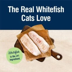 Blue Buffalo True Solutions Perfect Skin & Coat Natural Whitefish Adult Wet Cat Food -Blue Buffalo 218305 PT3. AC SS1800 V1676653192