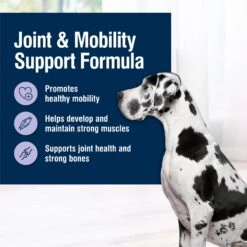 Blue Buffalo True Solutions Jolly Joints Mobility Support Formula Dry Dog Food -Blue Buffalo 218309 PT2. AC SS1800 V1696451640