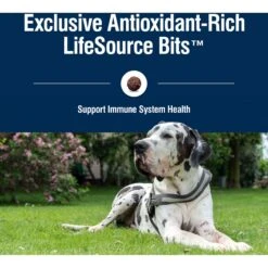 Blue Buffalo True Solutions Jolly Joints Mobility Support Formula Dry Dog Food -Blue Buffalo 218309 PT6. AC SS1800 V1696449988