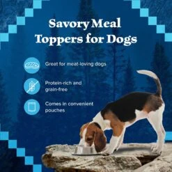 Blue Buffalo Wilderness Trail Toppers Wild Cuts Variety Pack Chunky Chicken & Beef Bites In Gravy Grain-Free Dog Food Topper, 3-oz, Pouch Of 12 -Blue Buffalo 228599 PT3. AC SS1800 V1689357639