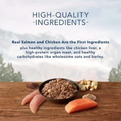 Blue Buffalo Wilderness Salmon & Chicken Grill With Oats & Barley Adult Wet Dog Food -Blue Buffalo 242859 PT3. AC SS1800 V1628004776