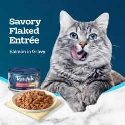 Blue Buffalo Tastefuls Salmon Entrée In Gravy Flaked Wet Cat Food, 3-oz Can, Case Of 24 11 Blue Buffalo Tastefuls Salmon Entrée In Gravy Flaked Wet Cat Food, 3-oz Can, Case Of 24 -Blue Buffalo 264531 PT3. AC SS1800 V1630736821